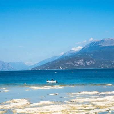 金年会体育登录入口截图