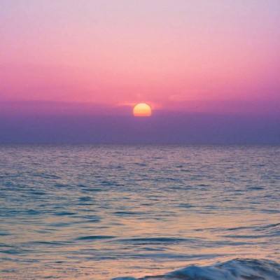 单机的打鱼游戏下载手机版