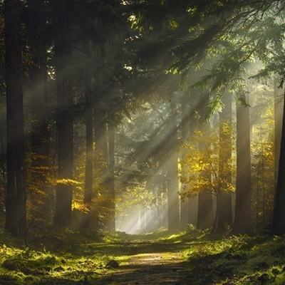 云开平台登录app截图