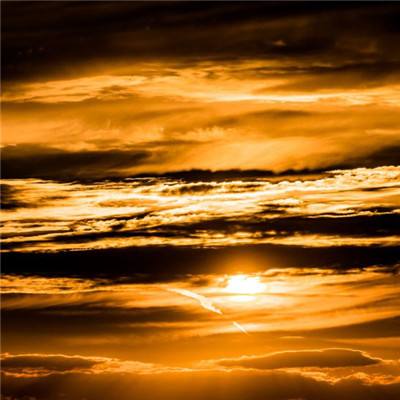 今期澳门三肖三码开一码下载手机版