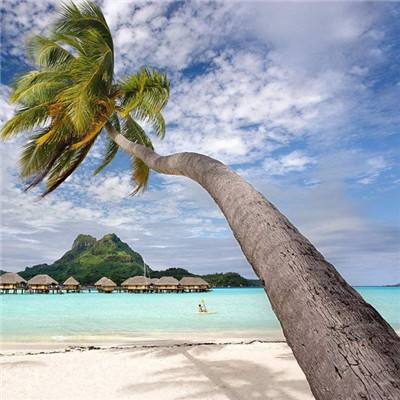 im电竞官网手机app下载