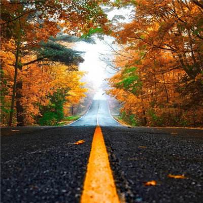 单机的打鱼游戏下载手机版