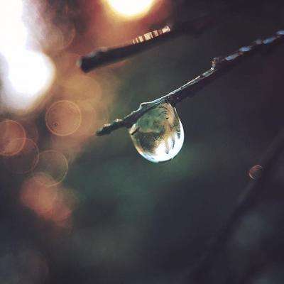 博鱼中国体育官网登录