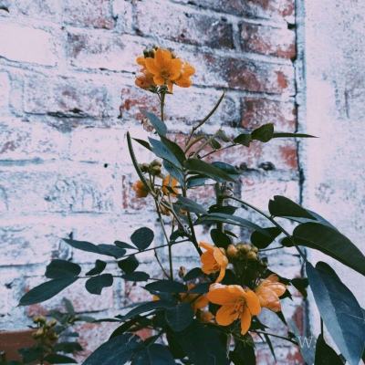 开云·体育平台下载手机版