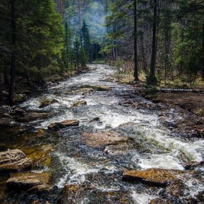 上海麻将下载手机版