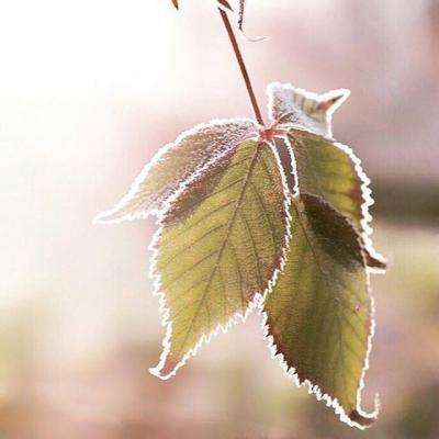 百姓彩票Welcome·官方网站