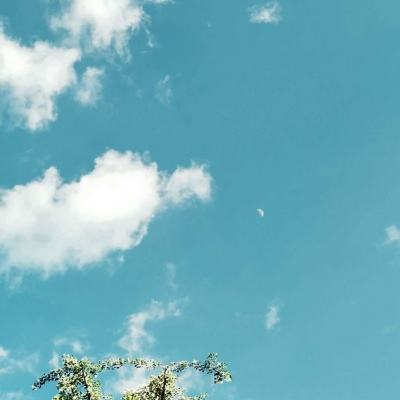 云开平台登录app截图